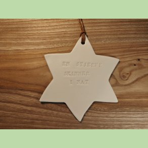 Stort porcel�nsstjerne